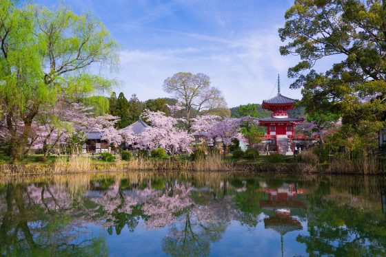 大覚寺・大沢池