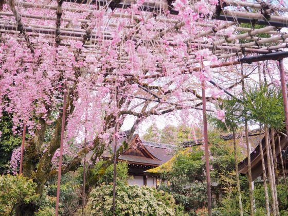 上賀茂神社