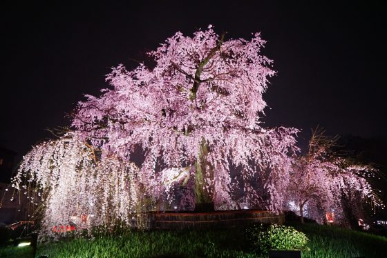 円山公園