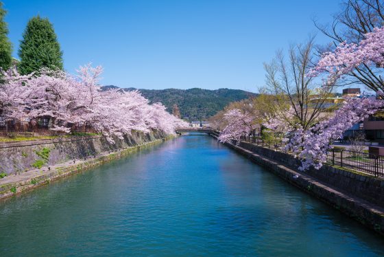 岡崎疏水 岡崎疏水