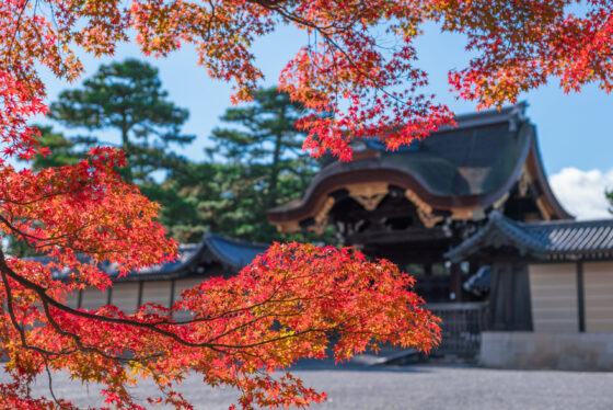 京都御苑